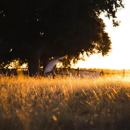 Dehesa De Montealto * Cabanas de Sayago